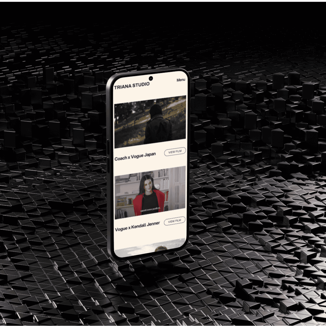 Triana Studio detail 4