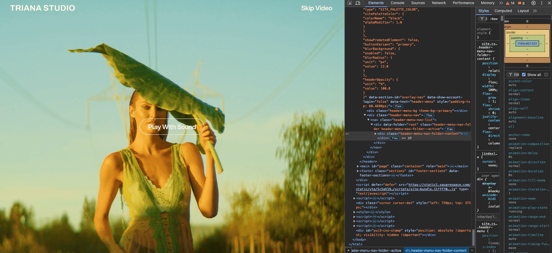 Triana Studio detail 6