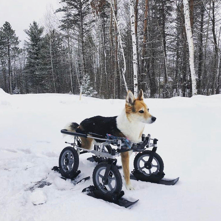 Polar Stroller Ski